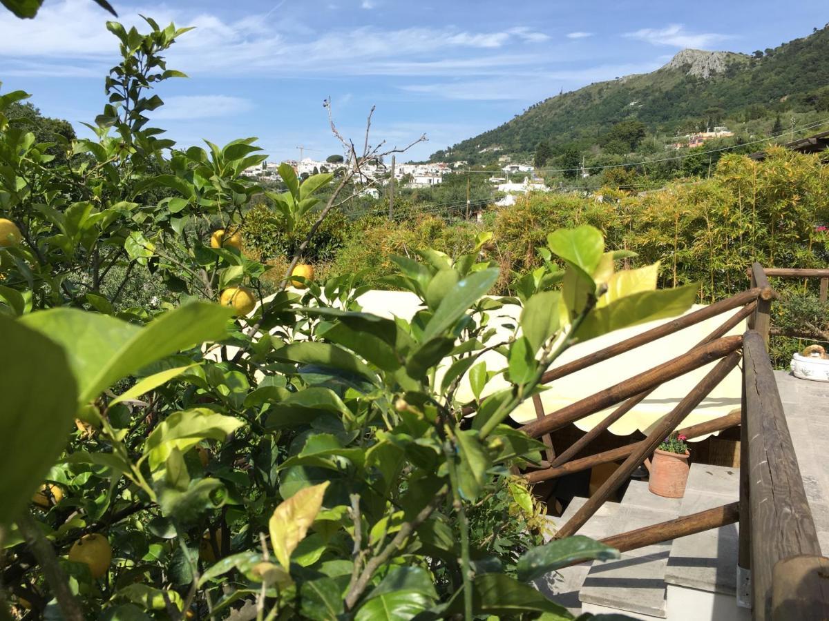 Relais Villa Anna Anacapri  Bagian luar foto